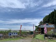 ゆうさんの三春インターブルーベリー園の投稿写真2