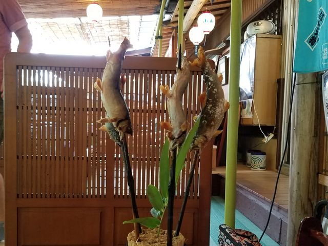 サチコさんのトモエの投稿写真1