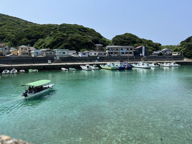 海が透き通って見えてとっても綺麗でした_柏島ダイビングサービス Smiley Dive