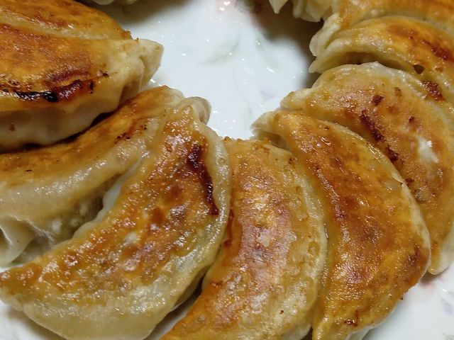 餃子_フジメンペガサート店