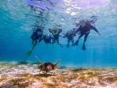 馬油☆さんのOkinawa tripsへの投稿写真1