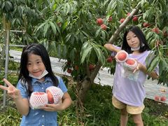 がんちゃんさんの果実の里 原田農園への投稿写真1