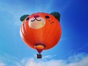 ミサさんの久万スキーランドの投稿写真1