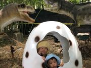 ななんさんのダイナソーアドベンチャーツアーin東京ベイ幕張の投稿写真2