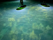 まめをさんのSADO_SUPの投稿写真3