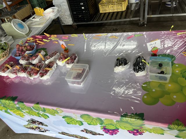 受付横の販売スペース_三ッ塚観光ブドウ園