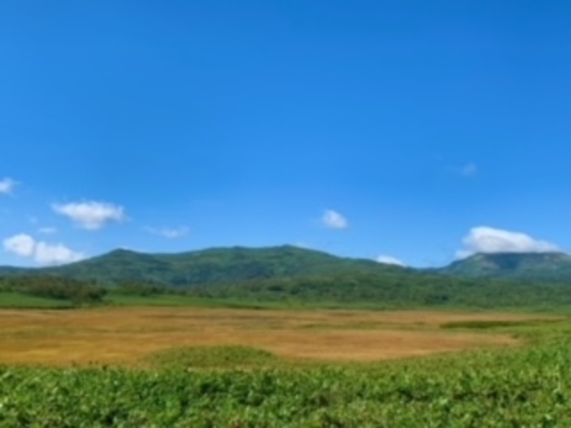 遊歩道より暑寒岳_雨竜沼湿原