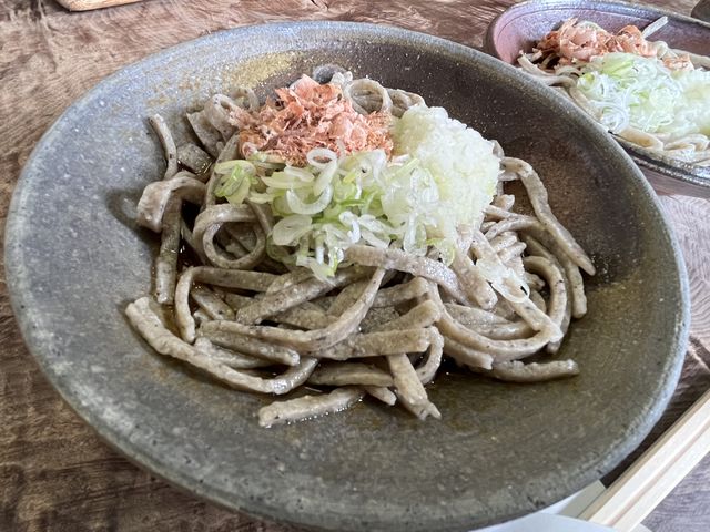 おろしそば(手臼挽粗麺)_そば蔵谷川
