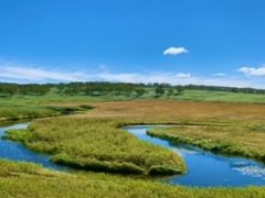 雨竜沼湿原の写真1