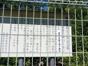 たっちゃんさんの家康公お手植のミカンの投稿写真1