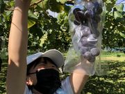 まつさんの高科ぶどう園の投稿写真1