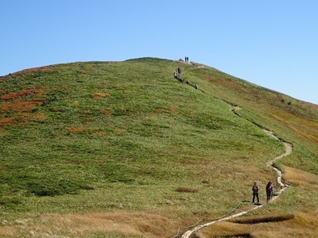 ねこむらさんの巻機山の投稿写真1