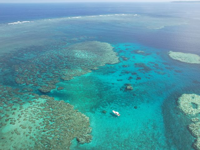 海面から珊瑚がよく見えます_Marine Service碧