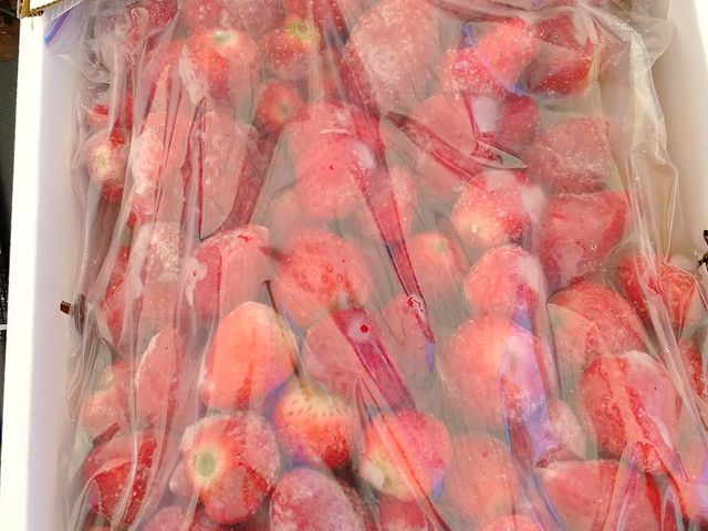 冷凍の苺売ってます_丹羽いちご園(にわ)