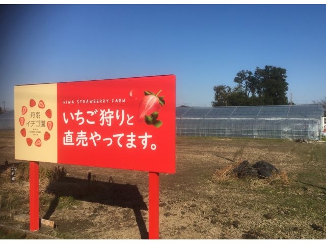 看板の奥にハウスがあります_丹羽いちご園(にわ)