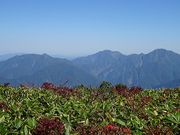 ねこむらさんの巻機山の投稿写真3