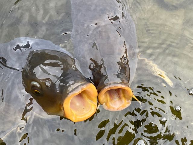 見浜園_見浜園