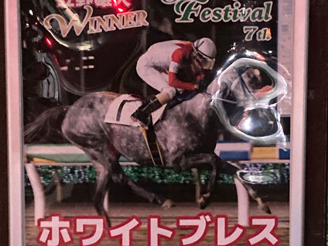 船橋競馬場_船橋競馬場