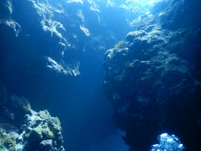 。_Step海ダイバーズ・スクール宮古島
