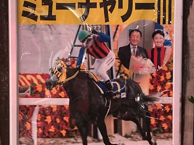 船橋競馬場_船橋競馬場