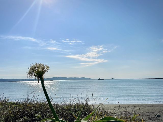 すぐ後ろは館山の綺麗な海です_CAMPGROUND BREEZE TATEYAMA