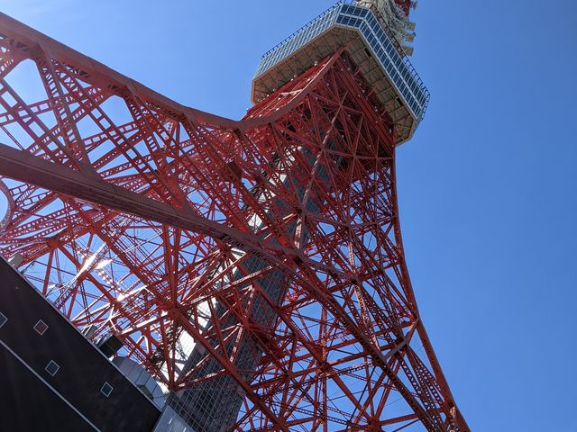 天井が無いと、走行中でもこんな写真が撮れます!_株式会社はとバス定期観光部