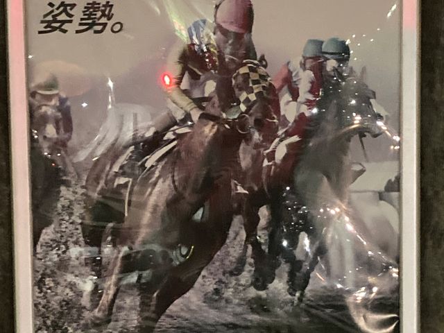 船橋競馬場_船橋競馬場