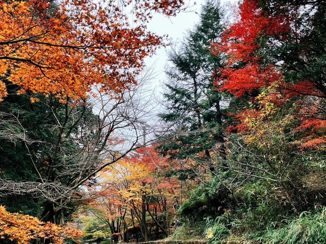 公園前道路の様子_石山観音公園