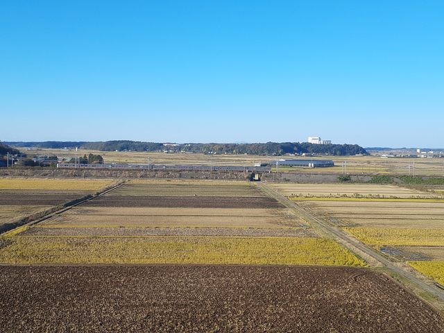 昔は印旛沼で天然の要害だったそうです。つくば山まで見えました。_本佐倉城跡