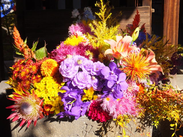立体的な花手水_勝林寺