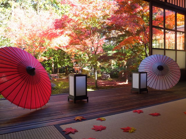 部屋にも落ち葉の設え_勝林寺