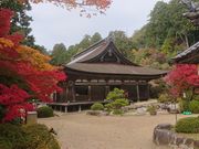 りゅうさんの善水寺の投稿写真1