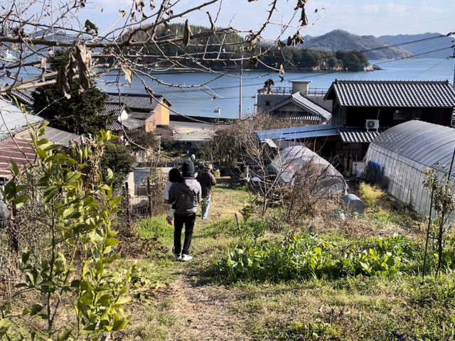 畑の隣は海_PITCHFORK FARMS
