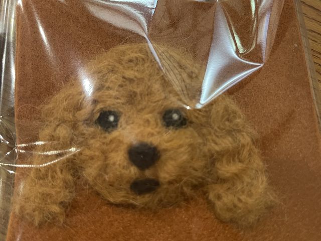 トイプー_アルチザン・シマ