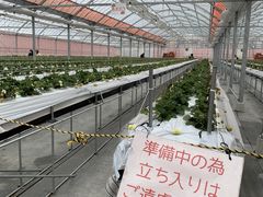 らいこさんの花立山ファームへの投稿写真1