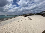 じゅんさんのチービシ(慶伊干瀬)の投稿写真1