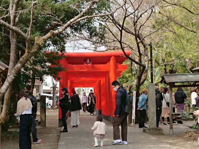 稲荷神社の朱の鳥居も鮮やかに_一葉稲荷神社