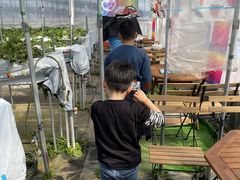 フロントちゃんさんのむらた農園への投稿写真1