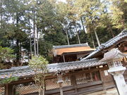 やんまあさんの鏡神社の投稿写真1