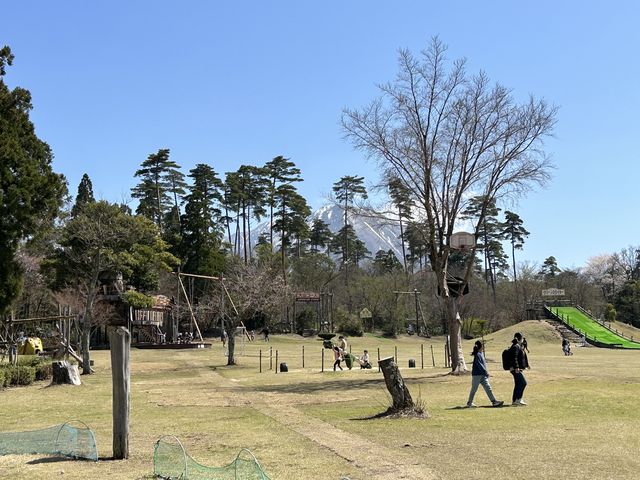 奥にはアスレチックコースもありました。_森の国