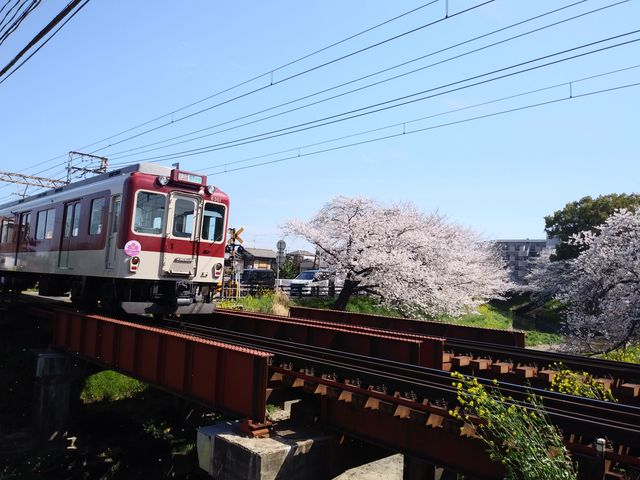 電車どのコラボ_大中公園