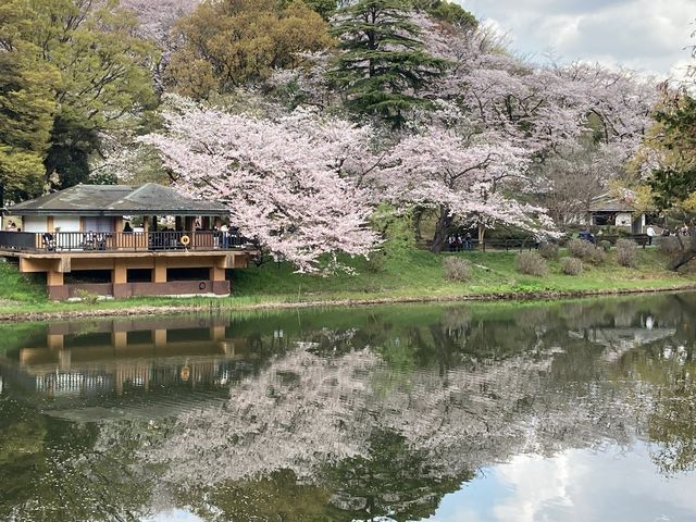 三ツ池公園_三ツ池公園