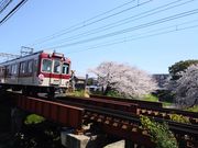 サクラサクさんの大中公園の投稿写真2