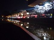 トシさんの彦根城屋形船の投稿写真3