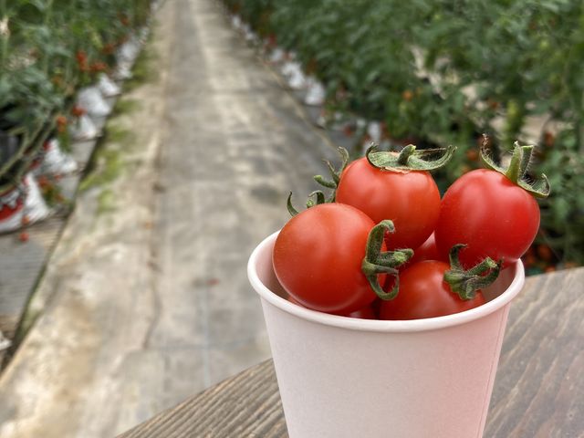 ごちそうさまでした。_キノシタファーム