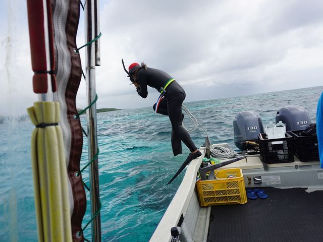 ダイビングポイント_八重山Diving Service Field