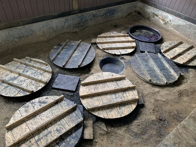若い藍は染まりやすいそうです_藍華田中絣工房