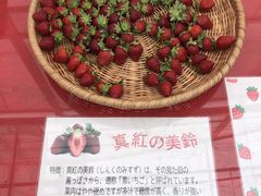 yushimazさんのストロベリーファームBERRYBERRYBERRYへの投稿写真1
