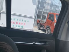 よちさんのAngelina berrys farmへの投稿写真1