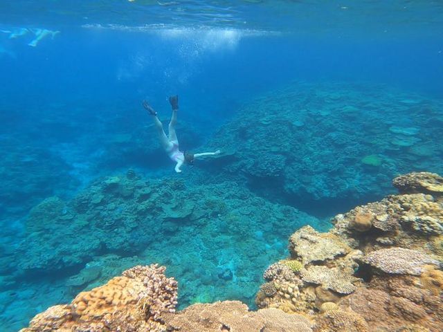 ダイビング_Lagoon315